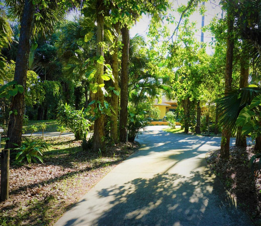Jupiter Waterfalls - Newly Updated - Tiki Hut, Fire Pit, Kitchen, Pool Heater And More Buitenkant foto